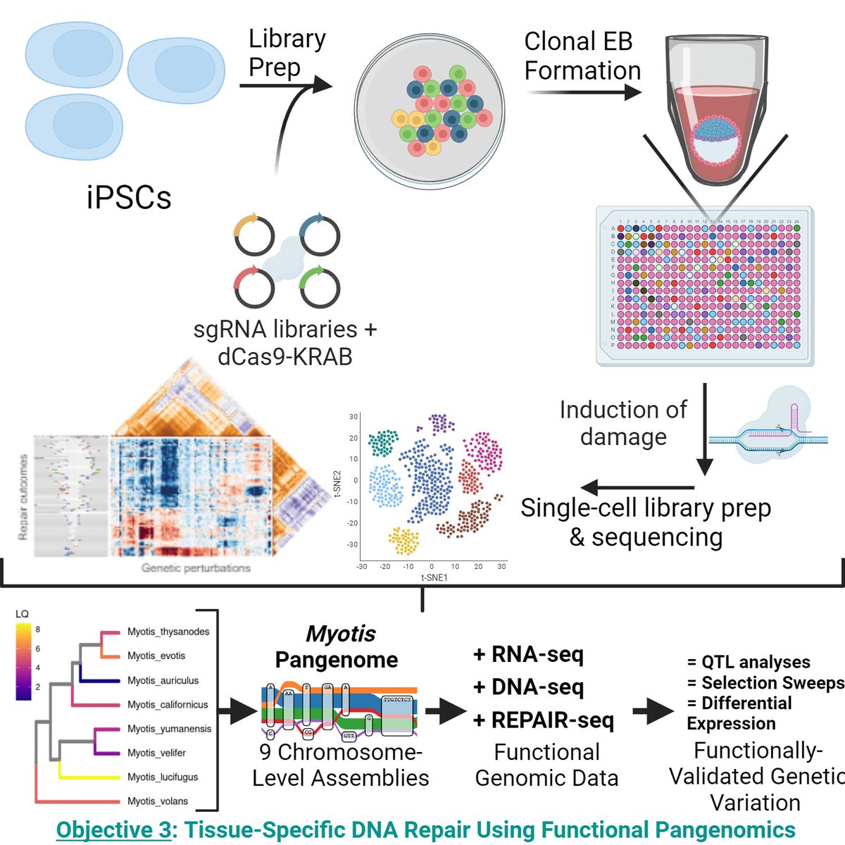 Juan Too Manny Strong Opinions 🇵🇷 tweet media