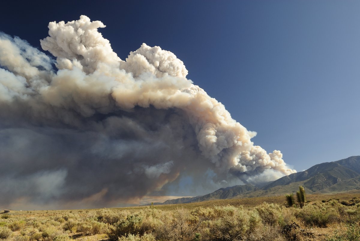 A biodegradable indoor air filter? DiPole Materials is using EPA's small business research funding to build a filter that can clean indoor air during #wildfires without producing waste. Learn about this and other EPA-supported innovations: epa.gov/sciencematters… #WildfireSmoke