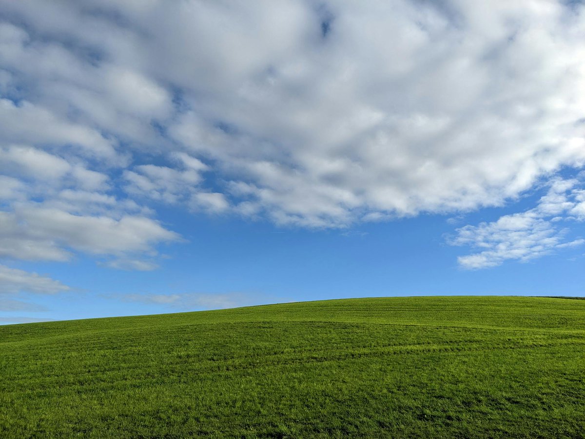 SecureLawn's tweet photo. SecureLawn: Where The Grass is Greener. SecureLawn takes care of the little things that other lawn services overlook so you don't have to. Get a quote. https://t.co/9a8ogGd9MG https://t.co/OtgzQhY98B