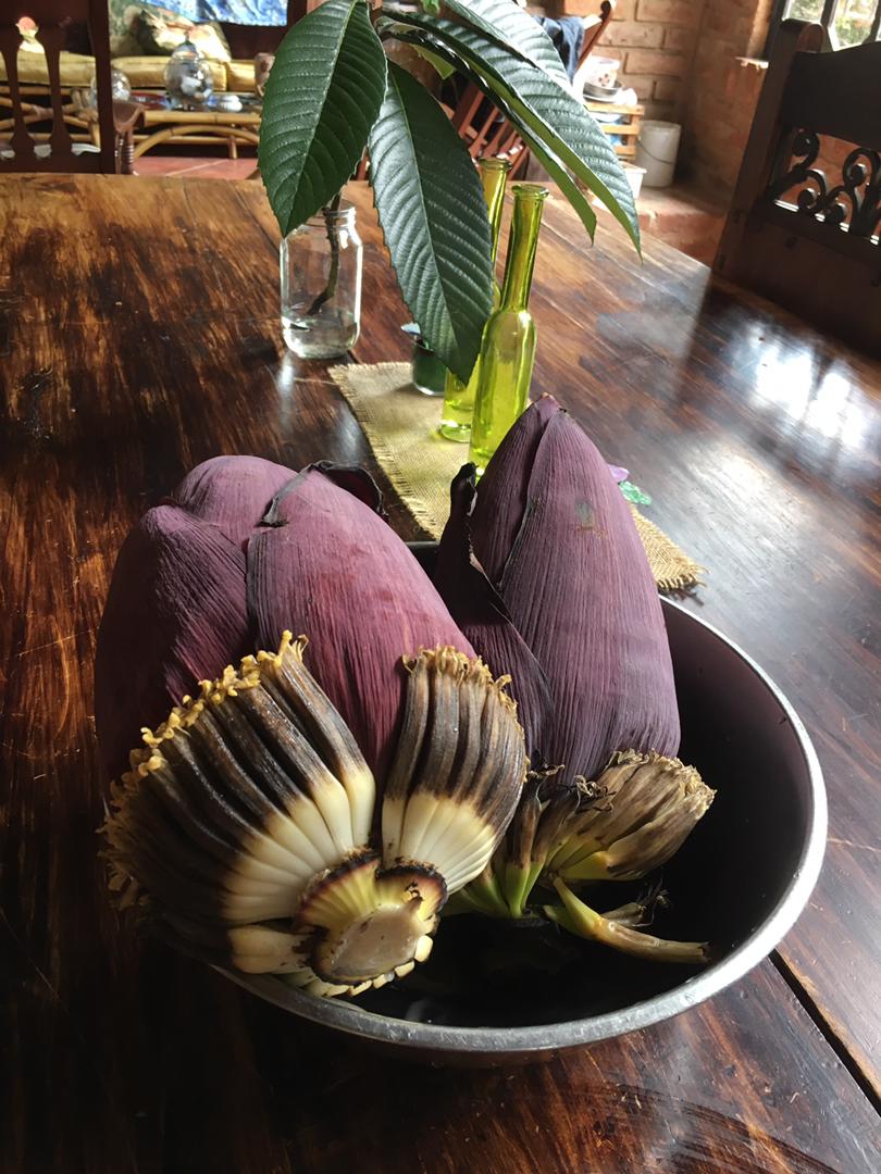 LaInventadera's tweet photo. #28May Día Mundial de la Nutrición

Flor de Cambur, potencial alimentario desconocido (y II)

Además de su deliciosa textura y variadas formas de preparación, aporta innumerables beneficios para la salud. 

Penélope Toro León @ToroPenelope

📰 https://t.co/pXiSw7irFh https://t.co/U0N6cSQpdl