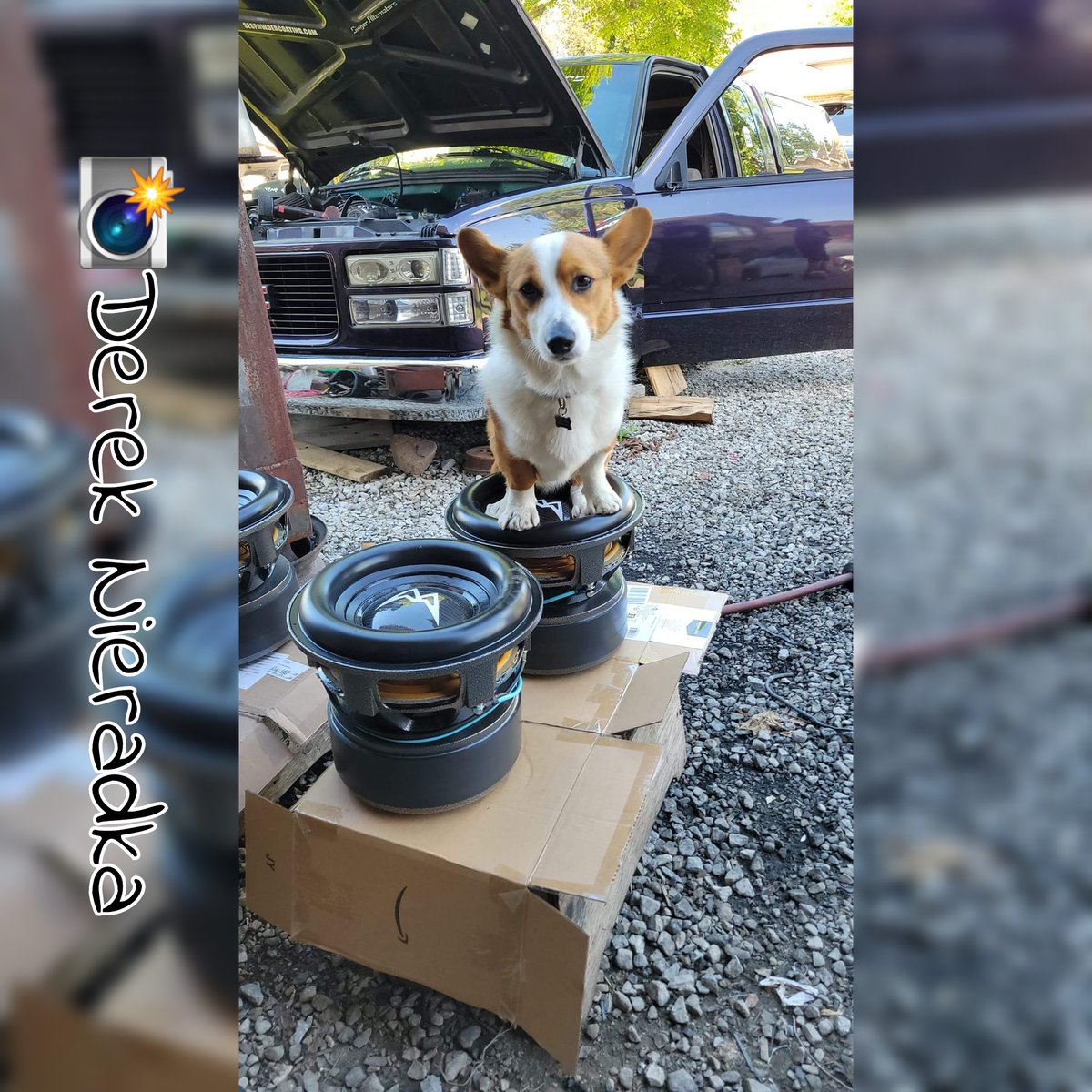 🔊😁🎶🐕 Woofers on woofers! Side not... What's that logo😉 Could we be seeing more from #AscendantAudio soon? 
Shop #caraudio -bit.ly/3z0KDg0
#12voltmag #12volt #caraudioaddicts #subwoofers