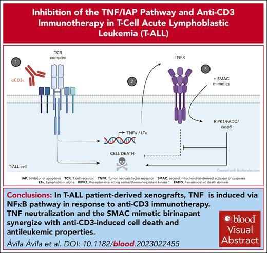 TNF neutralization and the SMAC mimetic birinapant synergize with anti-CD3–induced cell death and antileukemic properties. ow.ly/9spf50RTI1P #lymphoidneoplasia