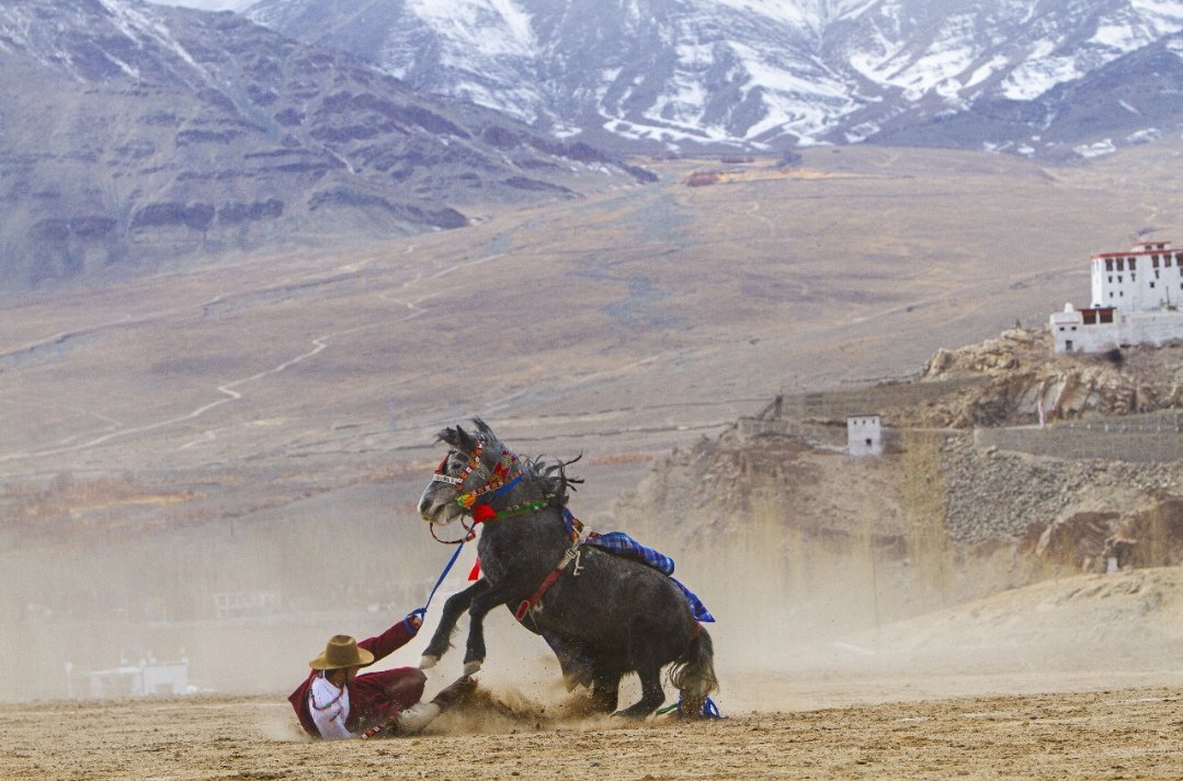 Experience the thrill of this ancient sport polo amidst the Himalayan beauty.
#visitleh .
.
.
#swadeshdarshan #incredibleindia #ladakhtourism #utladakhtourism #lehladakhtrip #lehdiaries #ladakhfestival #ladakhadventure #dekhoapnadesh #polosports #Mountains #leh #sports