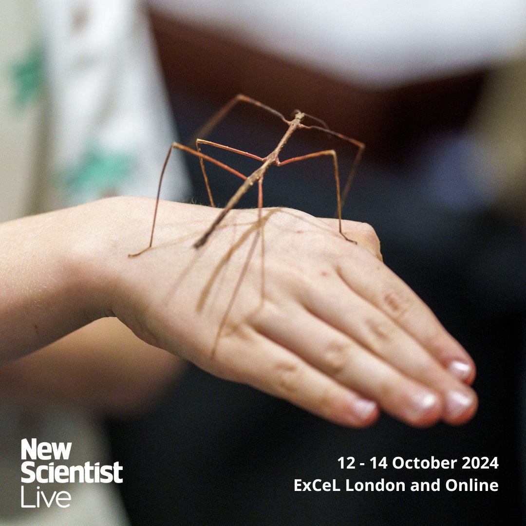 New Scientist Events tweet media