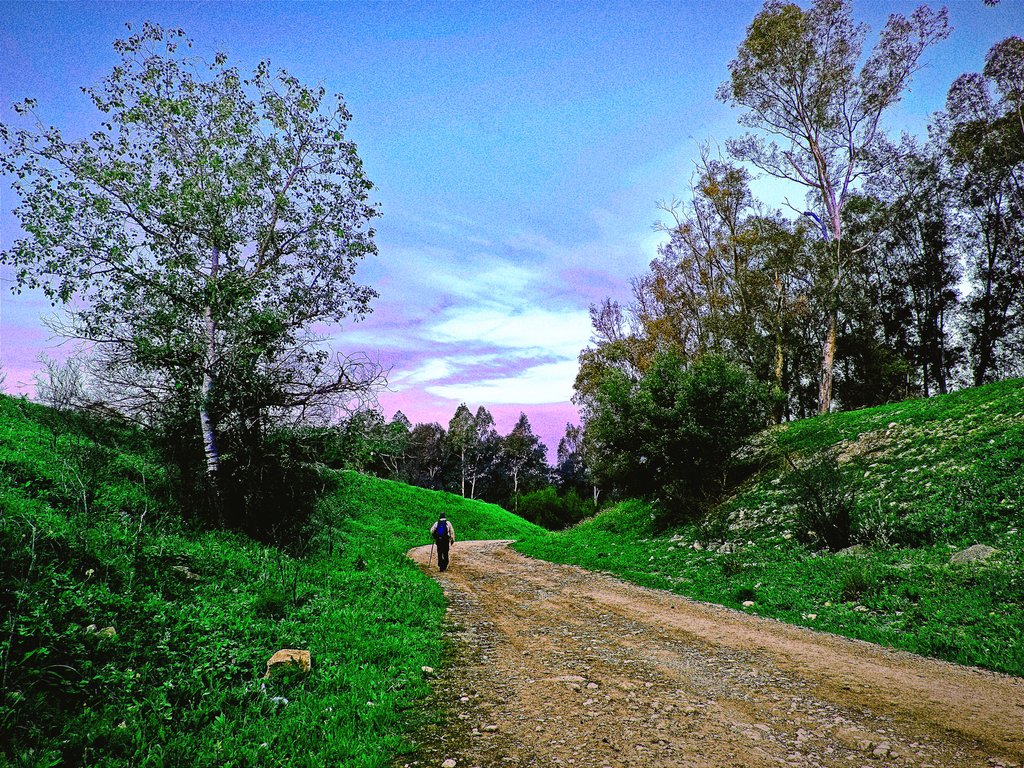 Rasgando el cielo.