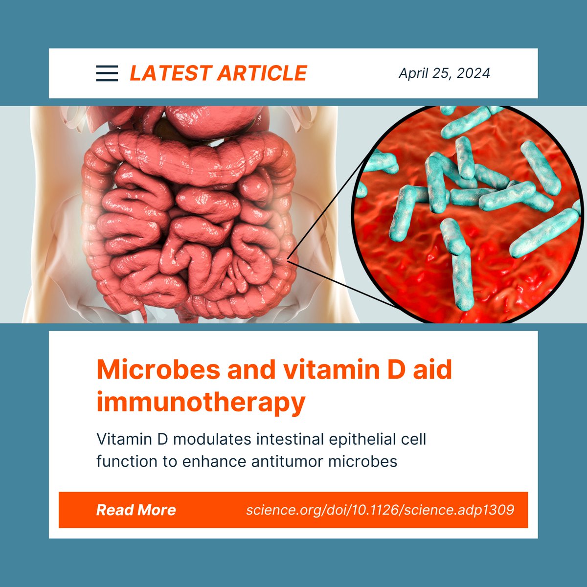 The #GutMicrobiome and #VitaminD play a key role in #cancer treatment:

1) Vitamin D alters the gut #microbiota via intestinal epithelial cells, e.g. enrichment of B. fragilis (in 🐀).

2) High fiber, high fat diets (ketogenic) support this positive effect on #immunotherapy.