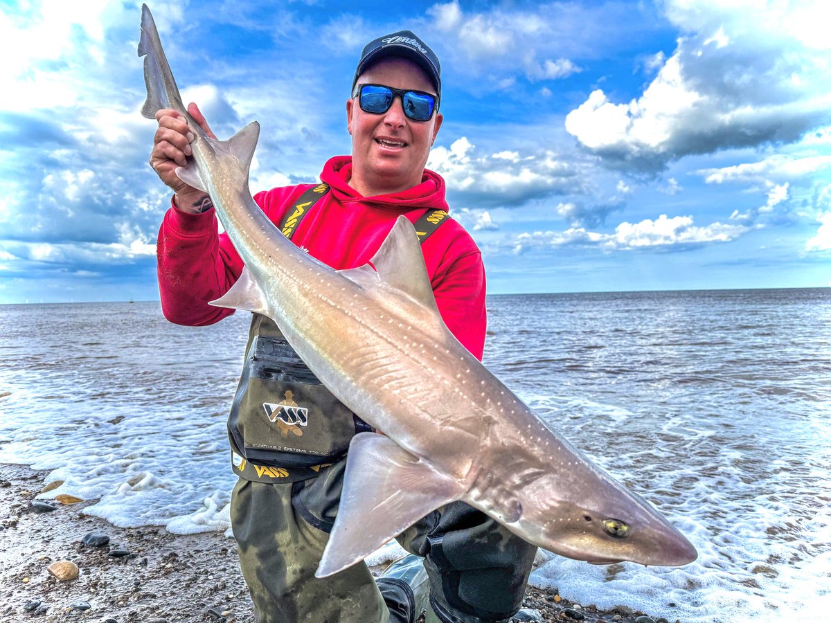 garypyeuk's tweet photo. Nice session down on the holderness coast flexing some carbon 🎣 straight into the hounds as the tide started to flood we had dogs tings haddock codlings it was carnage in the end couldn’t bait the spare trace 🎣🦈💪
Century Sea Fishing Spooligan Fishing https://t.co/JAiDmHo0IX