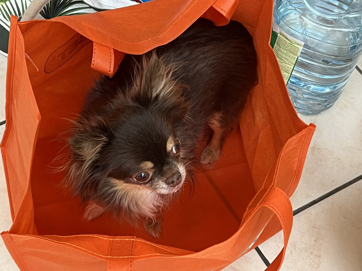 Andere kaufen ja die Katze im Sack.