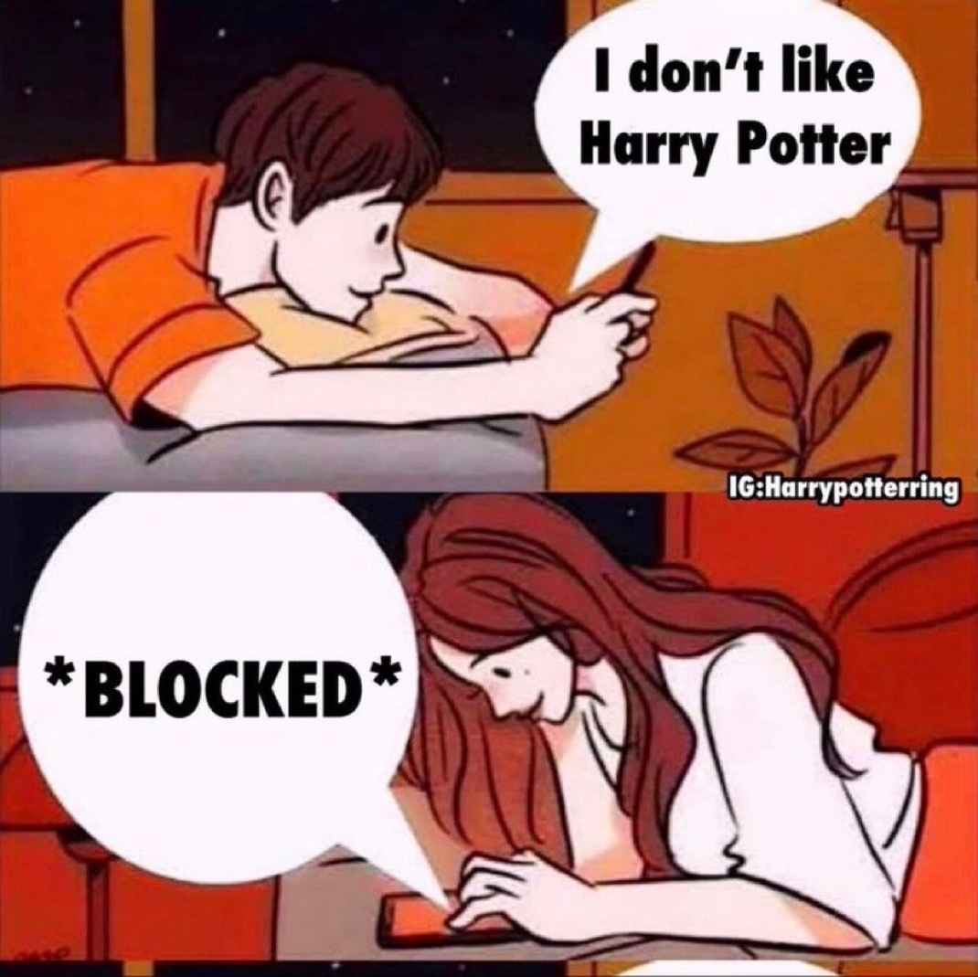 TheDailyHPotter's tweet photo. Immediately blocked ❌ https://t.co/C2Pj8QsGo0