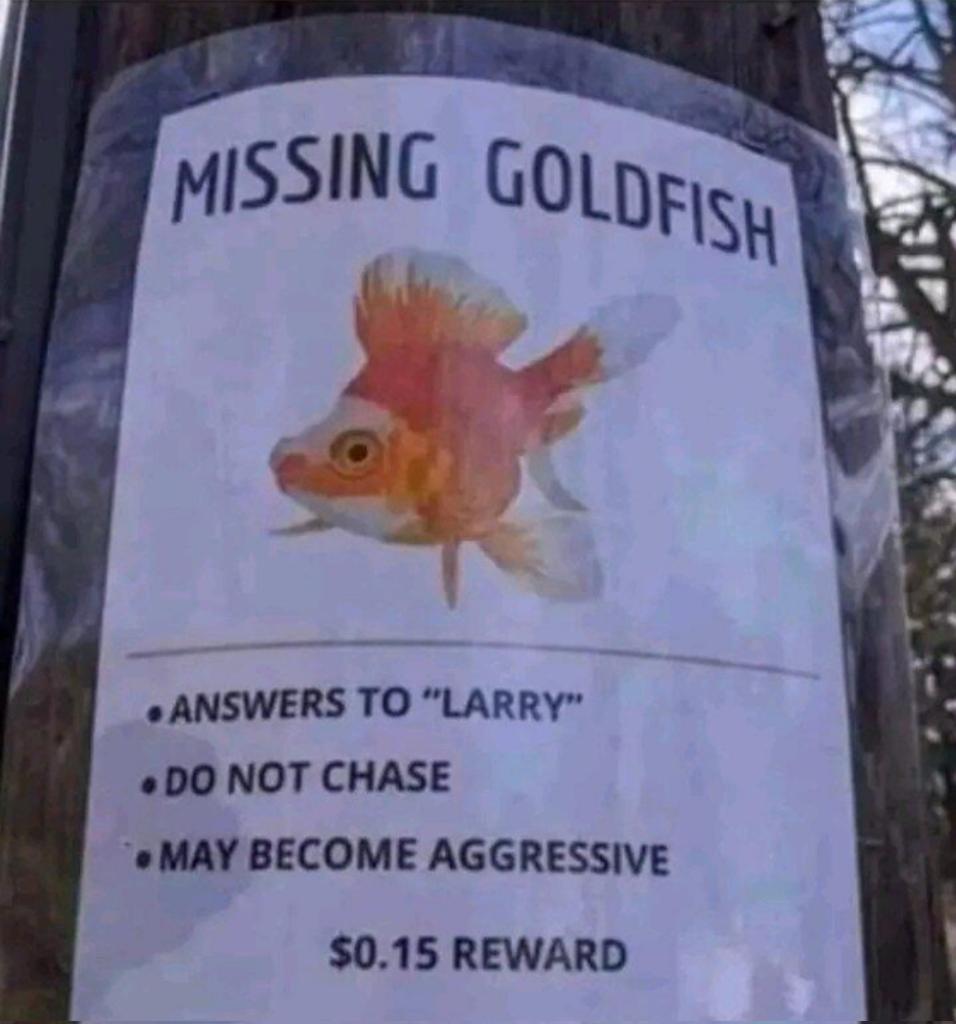 NumZero (@numzero15) on Twitter photo 