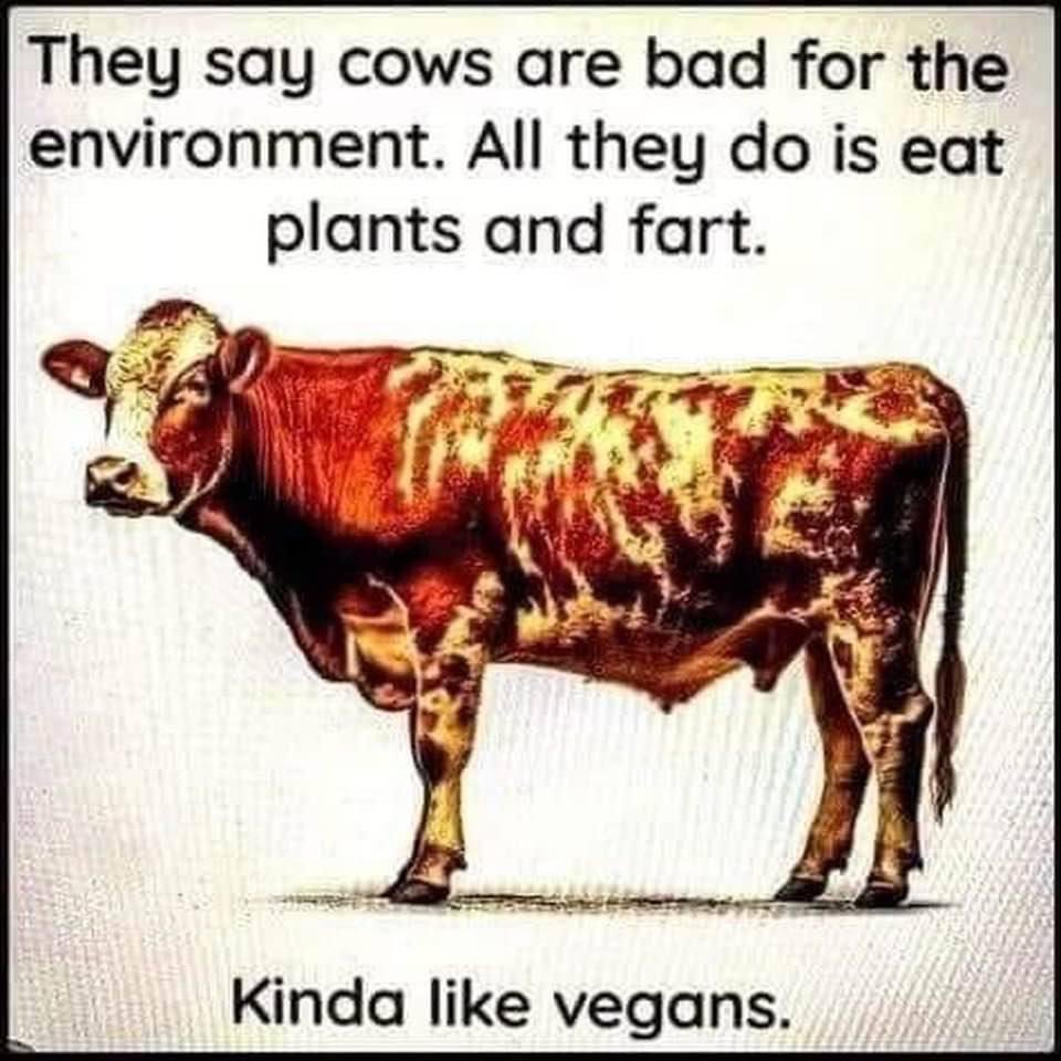 #vegan #FactCheck