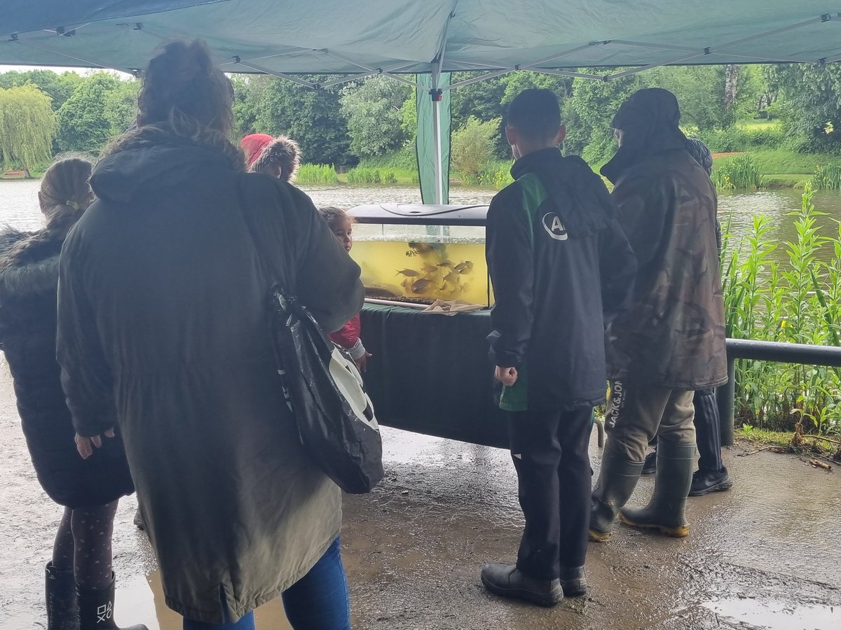 LLISWERRY POND. No stopping the families with our family fishing session today. Richard Sheppard from NRW popped down with the tank to talk about all the fish the families caught.  It was lovely to see new families enjoying the fishing. Another enjoyable day had by all. 👏