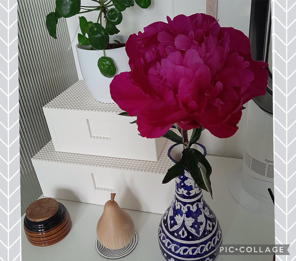 What a wonderful combo- a gorgeous peony and a beautiful vase,a gift from a friend.😍😍😍😍😍😍😍😍😍😍😍 @rukhsana1akhtar #kindness