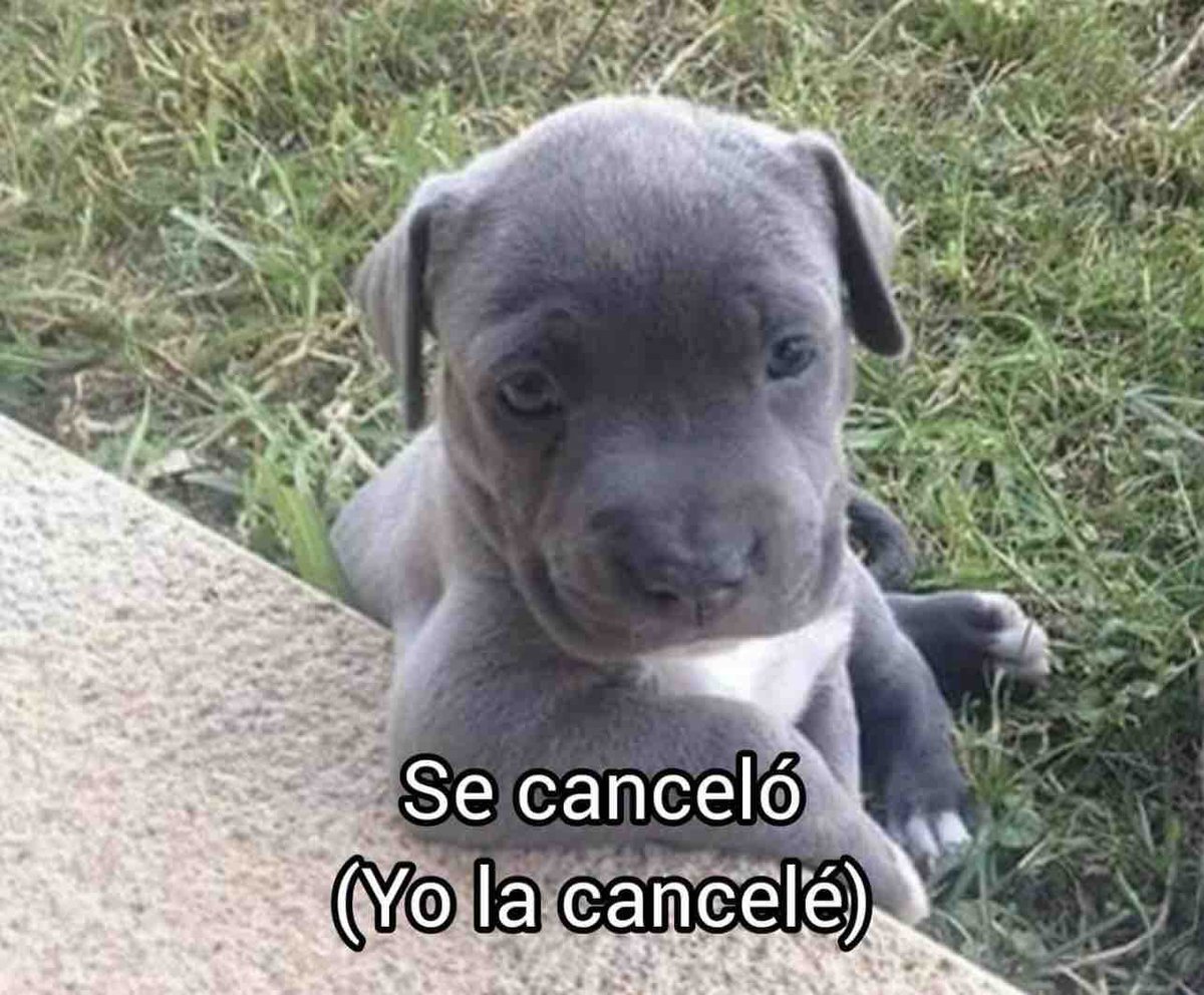Mi mamá: ¿Hoy no tenías clases?

Yo: