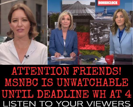Hey @JesseRodriguez. How many times are Andrea Mitchell and Katy Tur going to trend before @Msnbc does something? Asking for 90,000 Friends. #FireKatyTur Don Jr & Tiffany are not the only trump mouthpieces on your network. Drop a 💙 and Share ♻️ with your friends if you Agree.