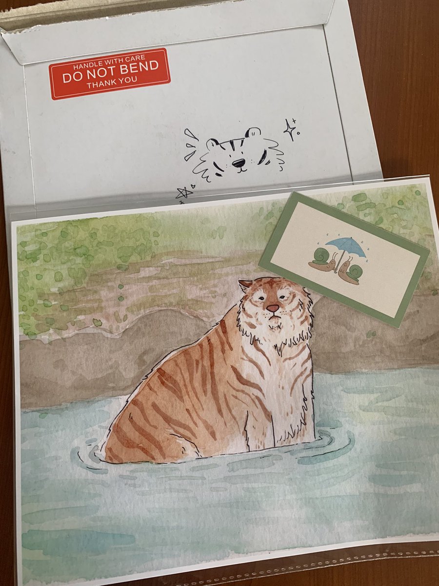 VarunChati's tweet photo. Chonky tiger came in the cutest packaging! Thank you so much @gabrielledrolet ! This made my day! https://t.co/1eiuatmCvU