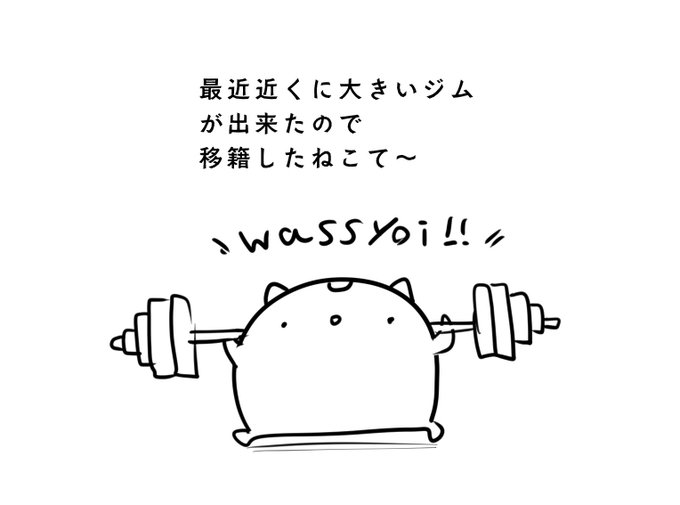 最近のねこて〜日記です 