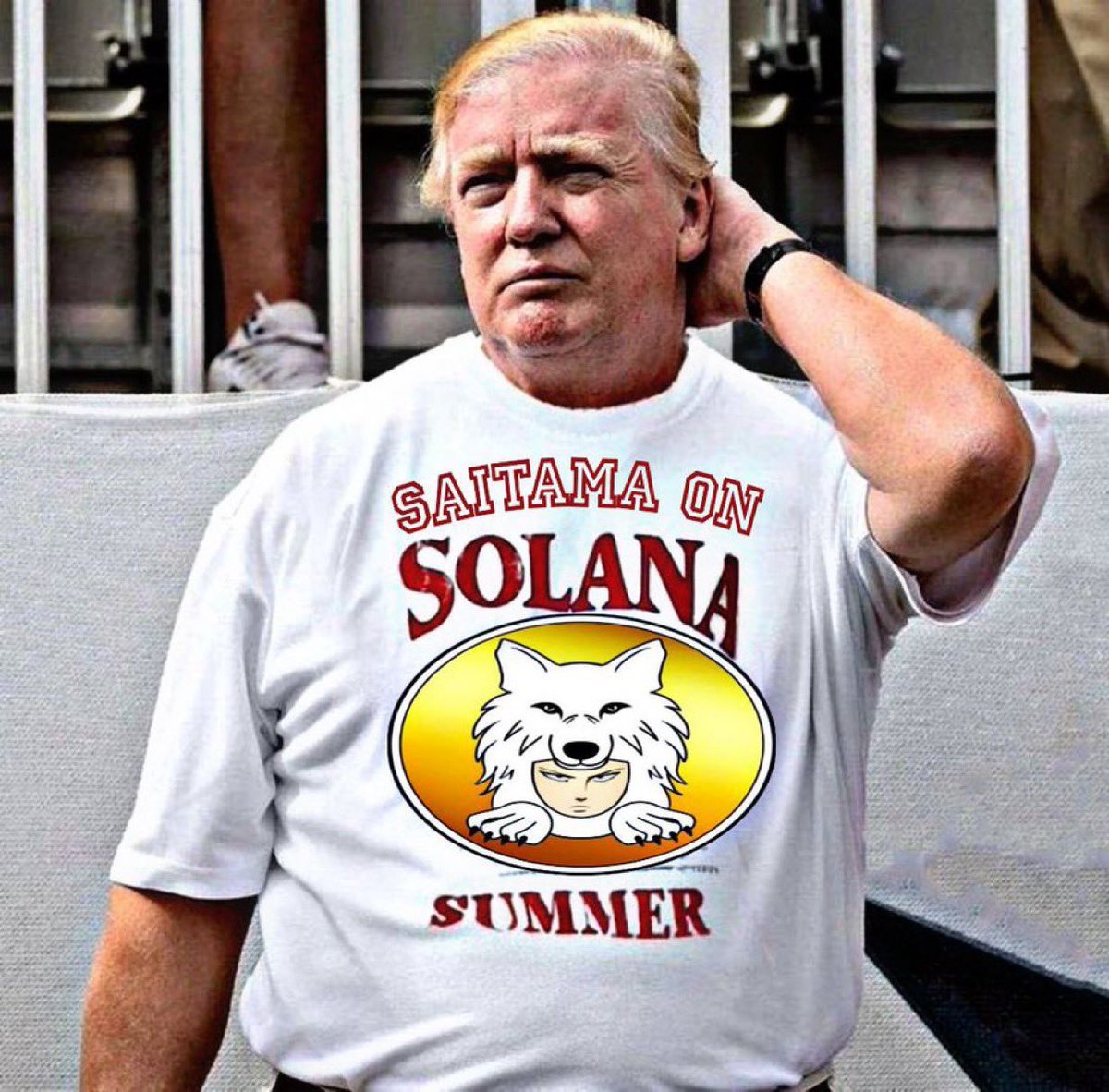 Even @realDonaldTrump knows it’s going to be a Saitama Summer on Solana. $SOL
