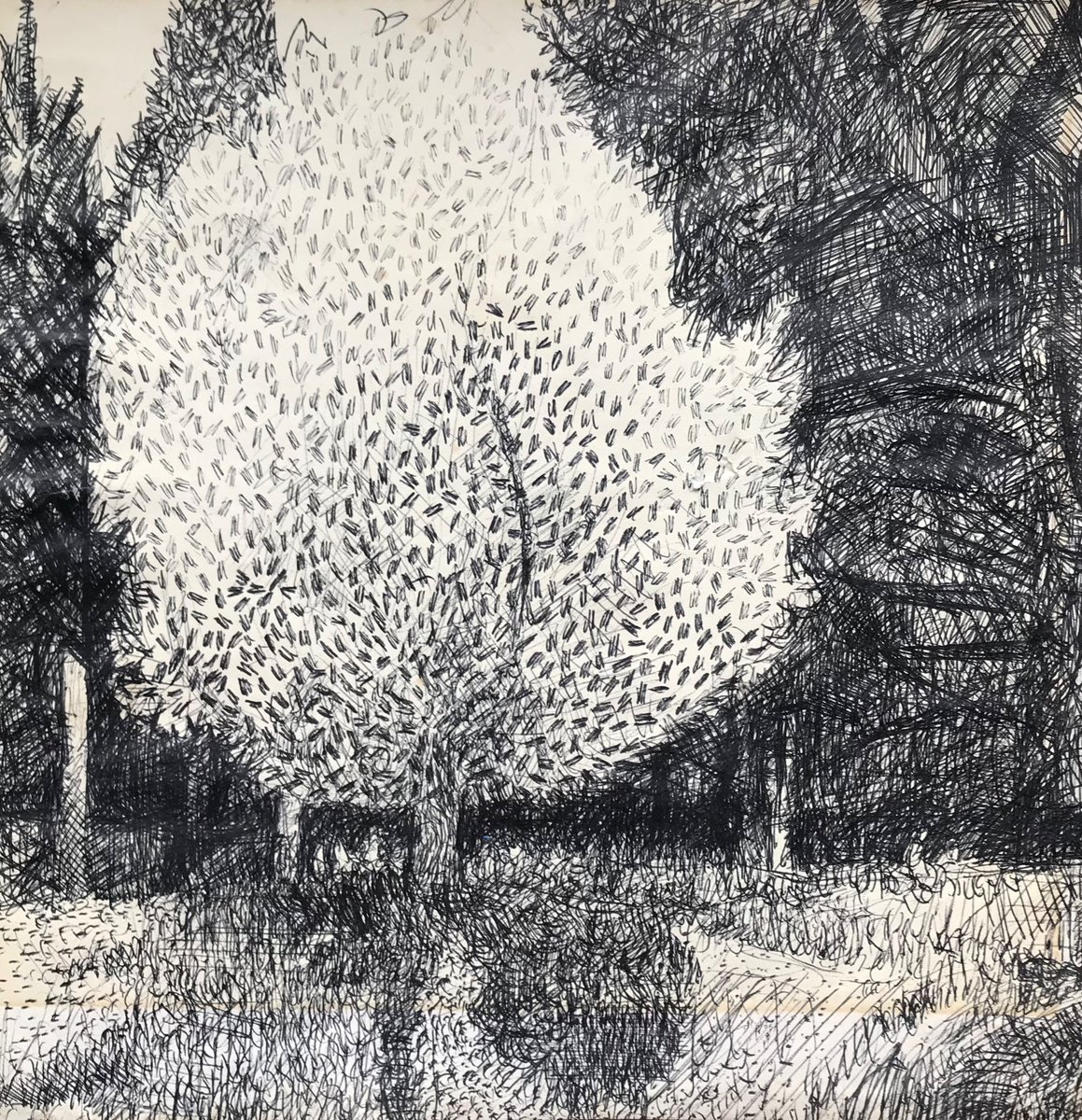 This is by far the oldest drawing I still have. Drawn at Merthyr Mawr either 1978 or 79. Black biro😎😊😬

#drawing #merthyrmmawr #welshartist #britart #inkdrawing #trees