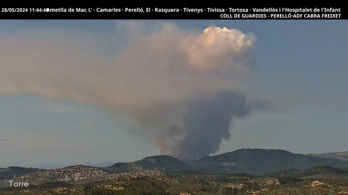 HotshotWake's tweet photo. New Start: Tortosa, Spain.
“She gone.”
#wildfire #europeFire https://t.co/9Yr9Lc8ki7