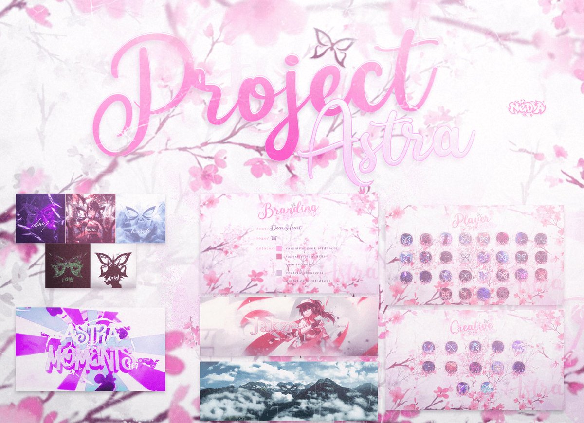 Project Astra // OUT NOW

behance.net/gallery/195801…