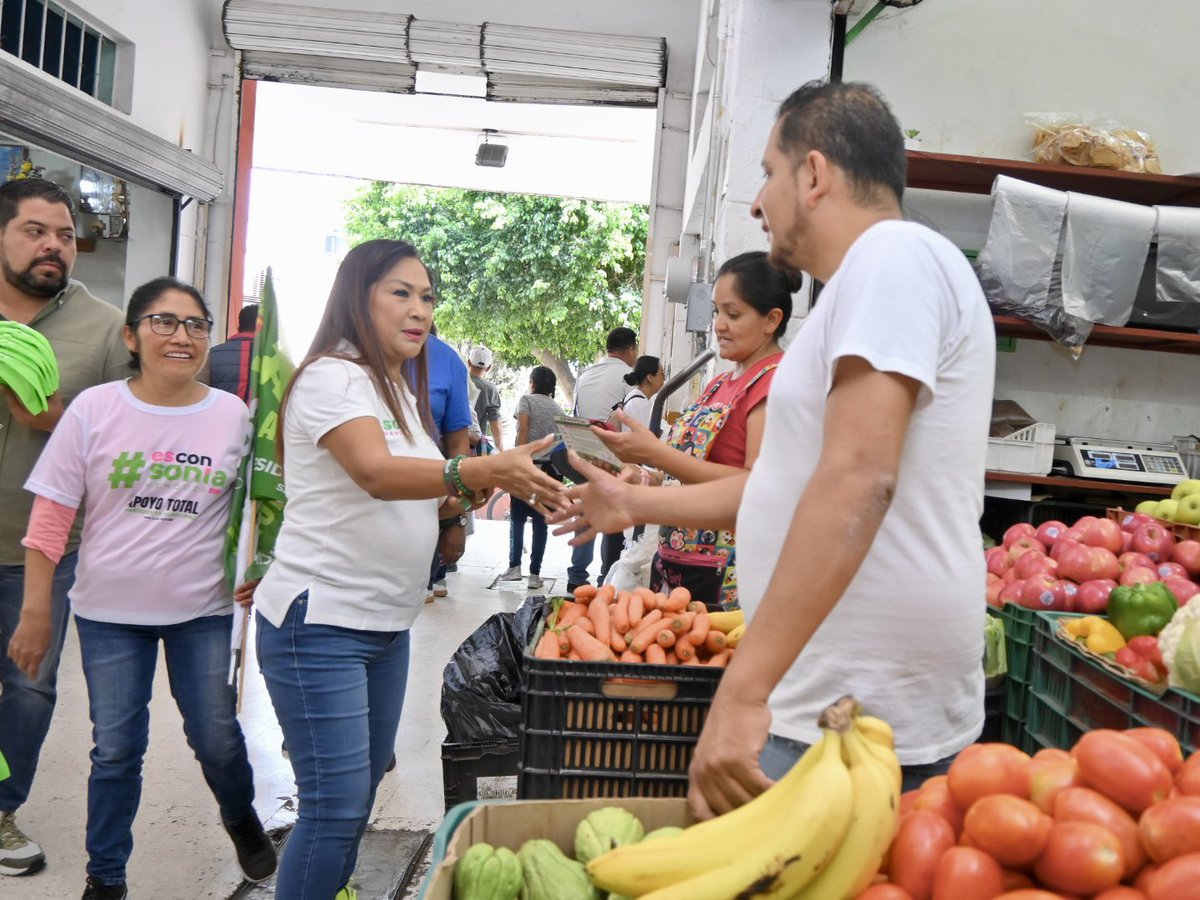 SoniaMendozaSLP's tweet photo. El Mercado Camilo Arriaga se pintó de Verde. 💚🌱
Con tu voto inundaremos la Capital de #ApoyoTotal. Nunca más serán abandonados y tendrán a la #PresidentaConValor que se merecen.
Este 2 de junio, dale 5 al Verde.
🤚🟢 https://t.co/4jtfi4w3Ox