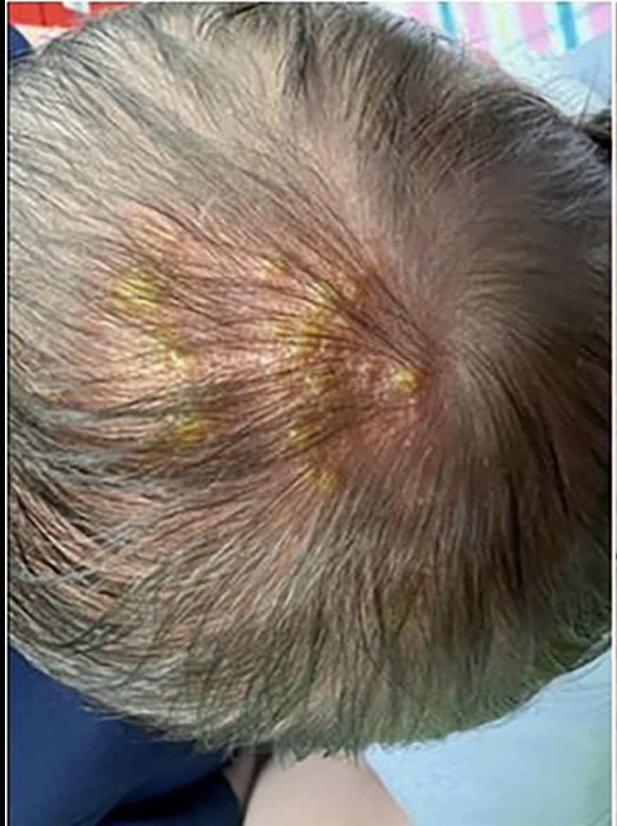 Michael Narvey 🇨🇦 tweet media