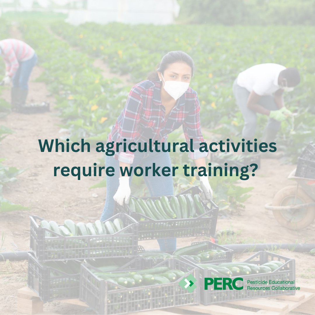 Agricultural workers: learn more about the work activities that require Worker Protection Standard (WPS) training from your employer. ➡️ bit.ly/PERCtrainingTa…