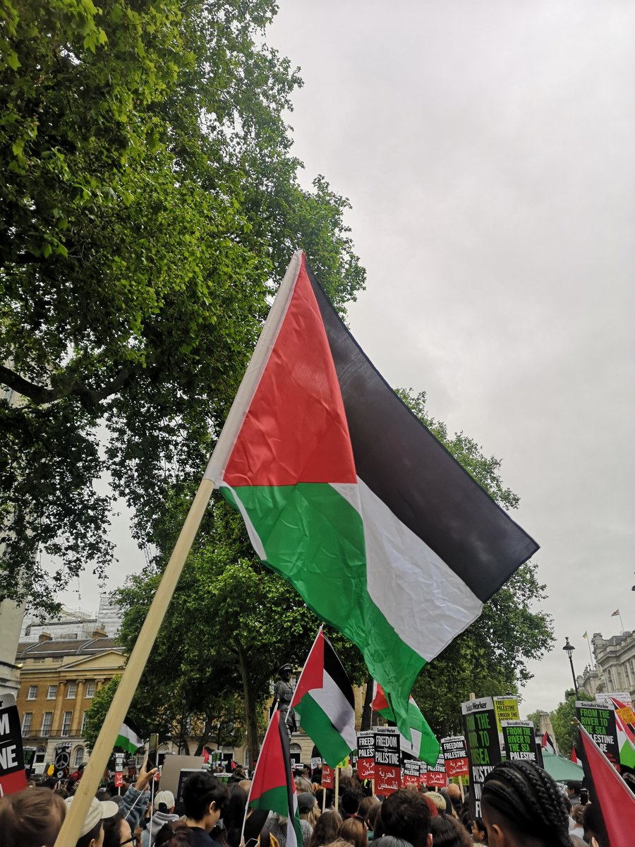 'We are all Palestinians' is reverberating louder outside Parliament than I've heard it before