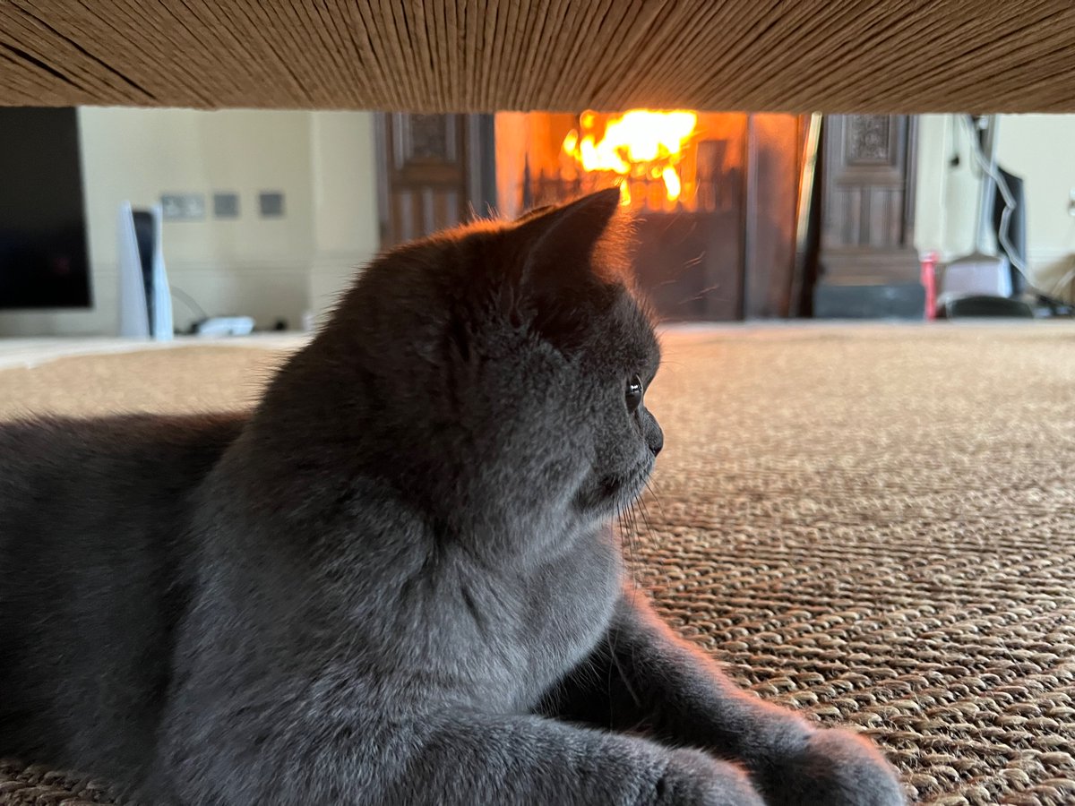 Jan Hansel tweet media