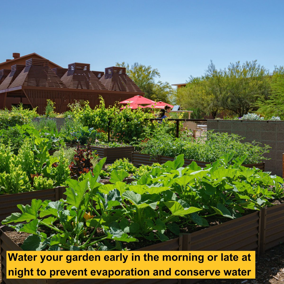 ASU Sustainability Practices tweet media