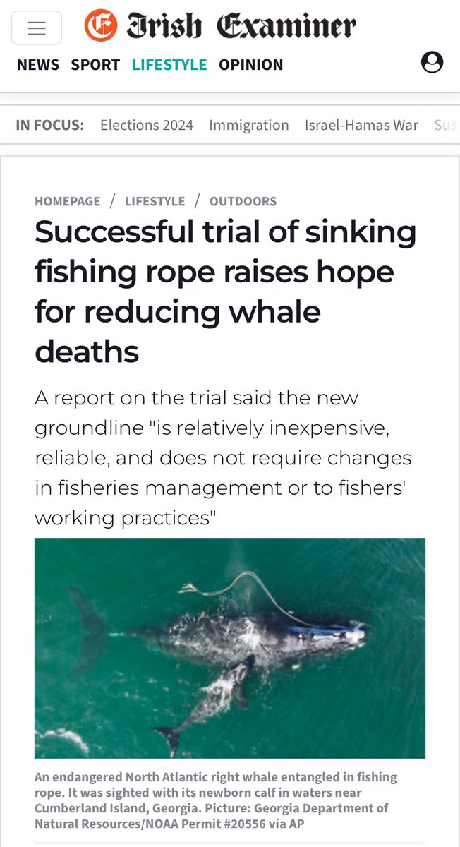 Tangly_Seas (@tangly_seas) on Twitter photo It’s here! Our report on recent work with creel fishermen on the west coast, trialling sinking line to reduce entanglement risk. Read it here:
scottishentanglement.org/downloads/new-…
<a href="/CreelScff/">SCFF</a>
<a href="/whalesorg/">Whale and Dolphin Conservation (WDC)</a>
<a href="/NatureScot/">NatureScot</a> It’s here! Our report on recent work with creel fishermen on the west coast, trialling sinking line to reduce entanglement risk. Read it here:
scottishentanglement.org/downloads/new-…
<a href="/CreelScff/">SCFF</a>
<a href="/whalesorg/">Whale and Dolphin Conservation (WDC)</a>
<a href="/NatureScot/">NatureScot</a>