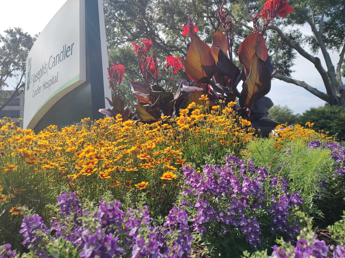 We just wanted to share a pic of our #springflowers looking especially beautiful today thanks to our hard working landscaping crew. #spring #springday #springsummer #springflower