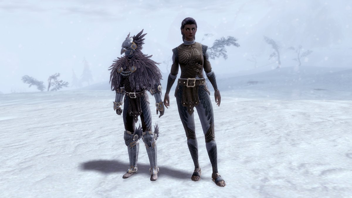 Honor the wisest Spirit of the Wild by completing your raven-themed look with the Raven Vest Skin and Raven Leggings Skin! Check out what's new in the #GuildWars2 Gem Store: guildwars2.com/news/ravens-ma…