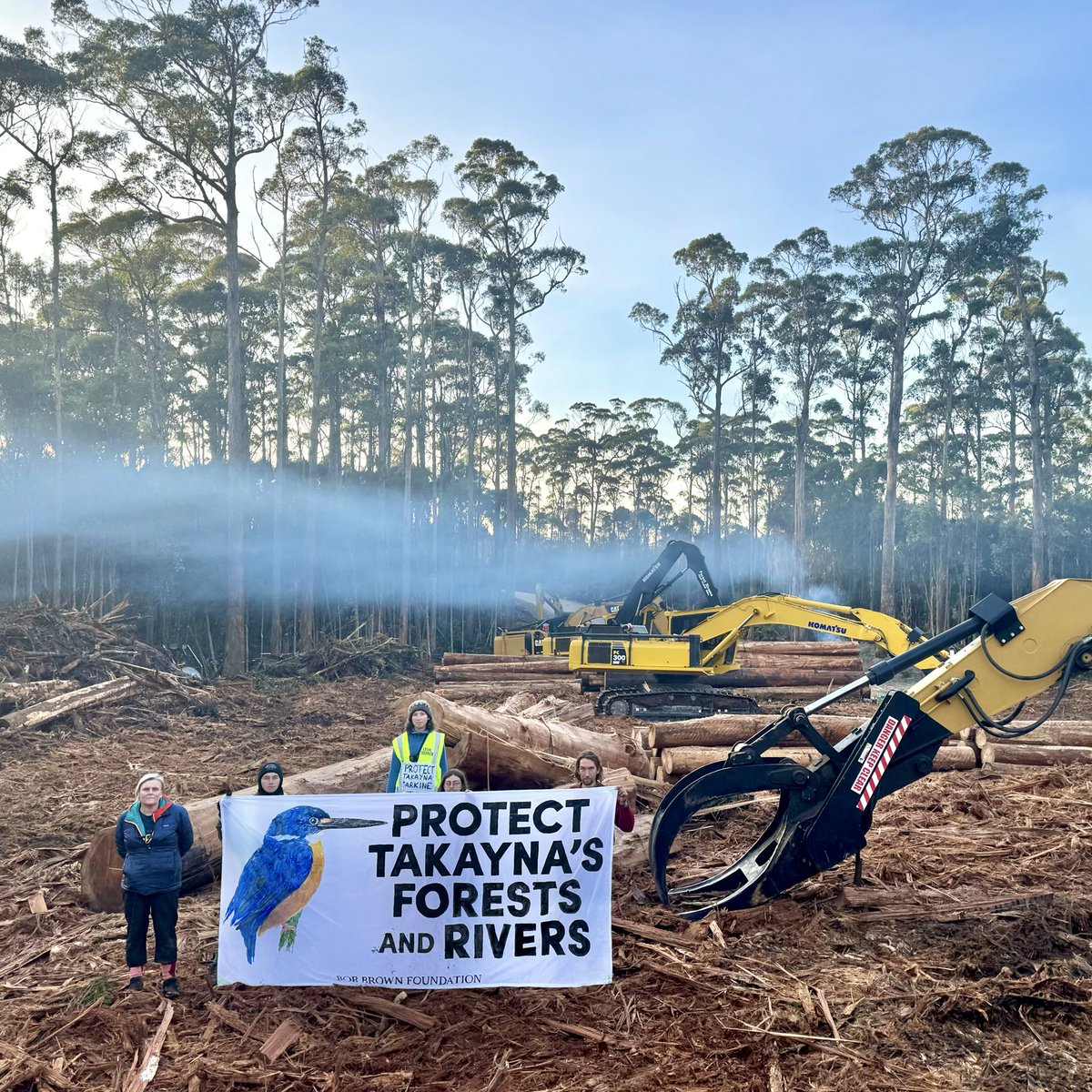 Breaking: Multiple #MaskedOwl calls heard from the site of logging destruction in Takayna / Tarkine. Our defence of this forest at the Arthur River has entered its seventh day —  with activists travelling upriver to the logging coupe via boat. #politas 
bobbrown.org.au/arthur-river-t…