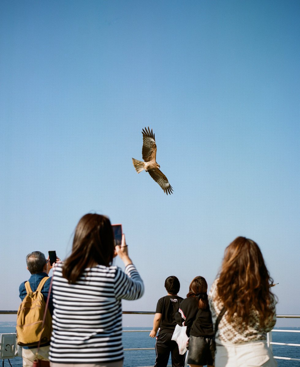 kristophershinn's tweet photo. For those of you that weren't aware, I'm currently in the process of building out the next "By Way of Water" collection. The collection will build out gradually over time, and feature photographs shot on ferries around the world.

So far, I've done 2 small drops on @foundation, featuring work shot on ferries in British Columbia and Japan. The 3rd drop will be shot in Iceland this summer.

Beginning this new body of work, while photography has experienced a big dip in the NFT market, has presented challenges, but I couldn't be more optimistic and excited about what this next chapter will bring.