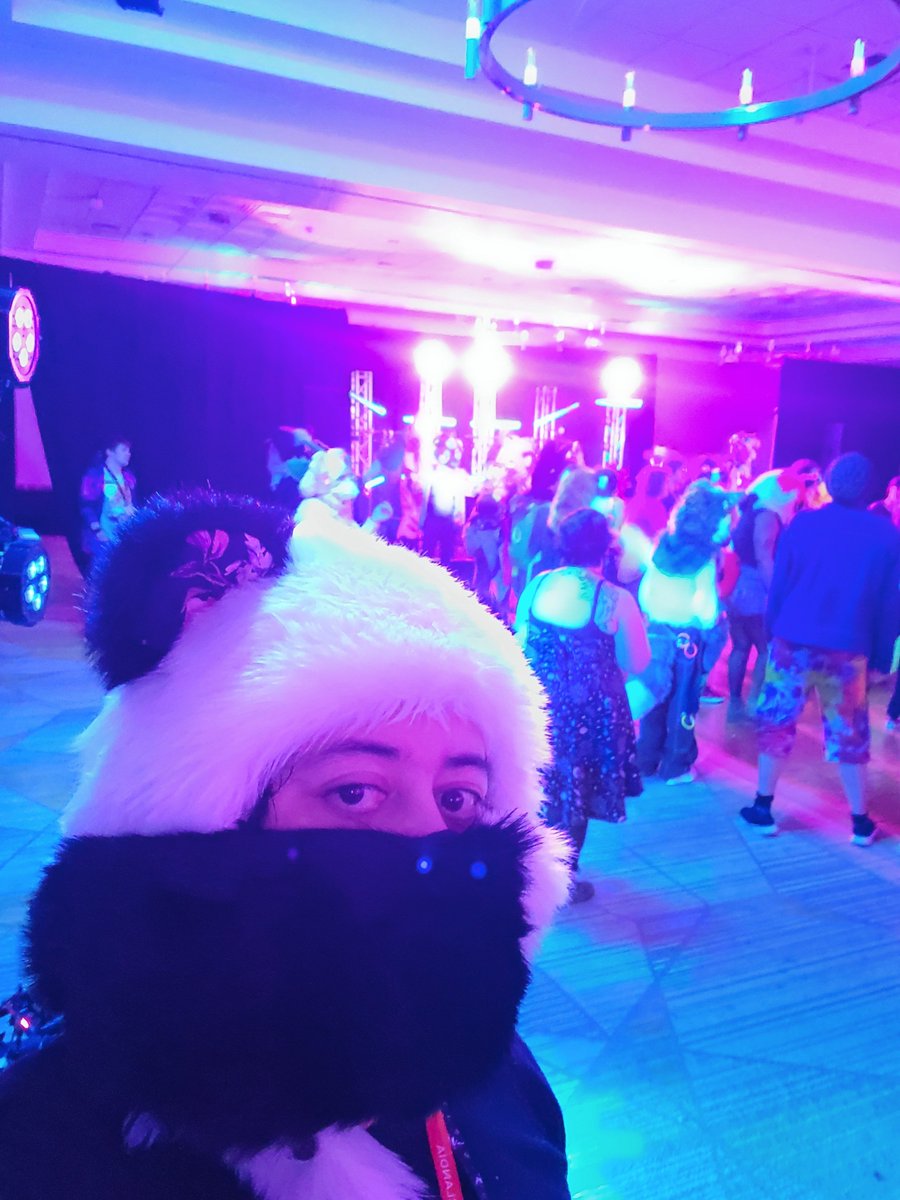 #furlandia2024 was incredibly fun, it was my first furry con and I already can't wait for the next one 😁 #furry #furryconvention #rave #fursuit #spirithoods
