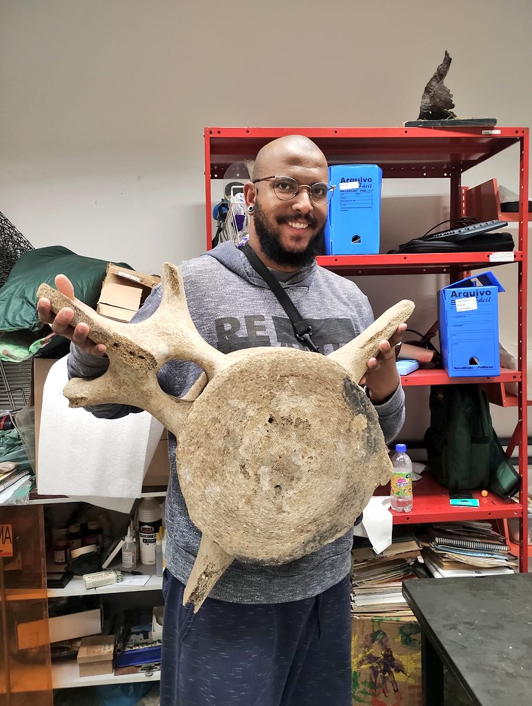 Uma vértebra de baleia 🐳
Às vezes esquecemos o quando nós somos pequenos, e o quando nossa biodiversidade é tão incrível, tendo seres de todos os tamanhos e formas.