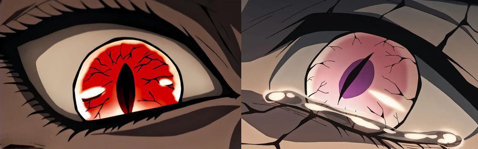 The fact Muzan and Nezuko have similar eyes, reflecting that his blood is far more influential in her powers and appearance.