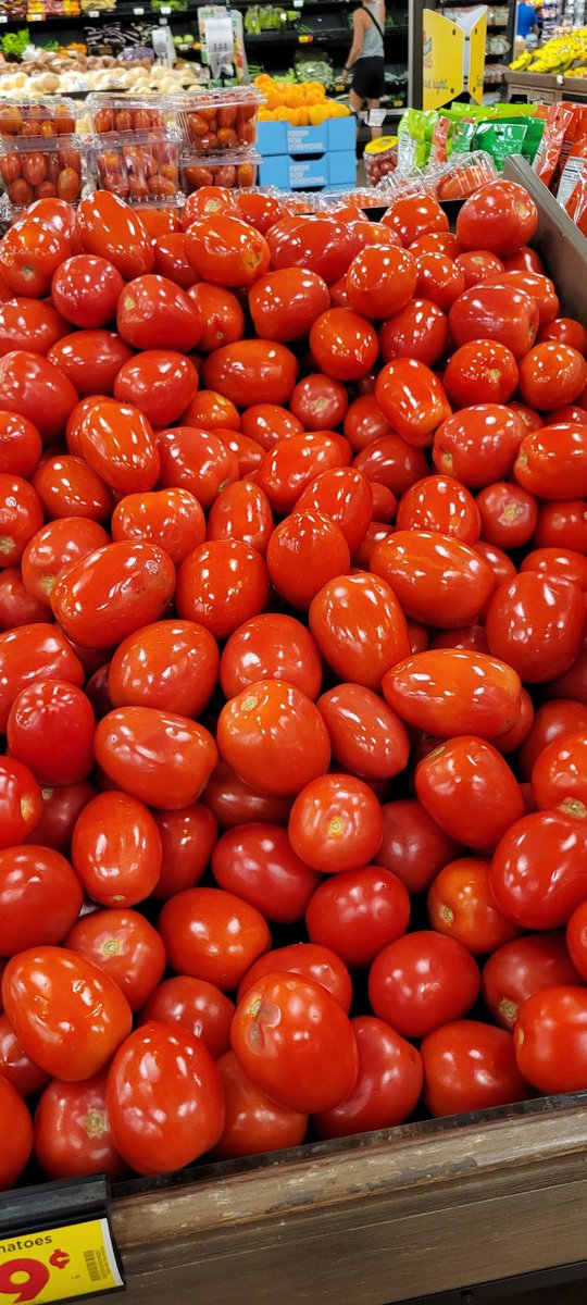 These are the most shiny tomatoes I think I've ever seen.