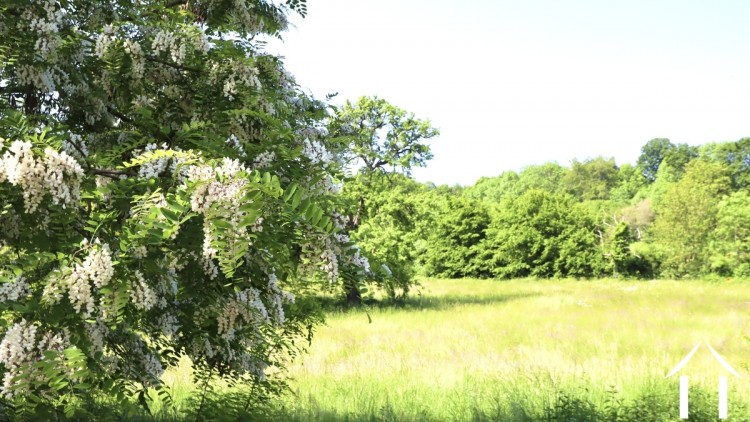 This cottage in Nièvre, Bourgogne-Franche-Comté is on the market for €129,000 and it includes a hectare of land and two outbuildings frenchentree.com/property-for-s…