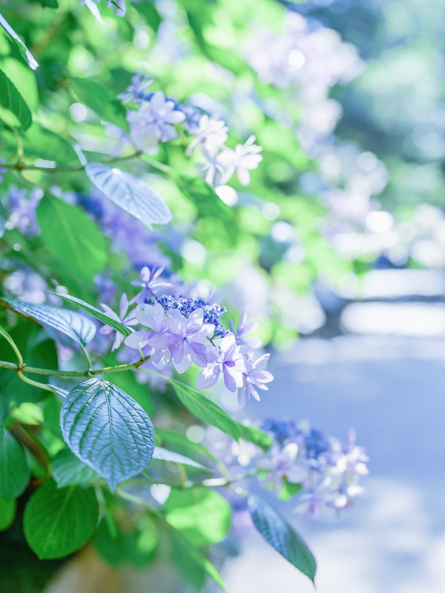 今日は良い天気✨ #photography