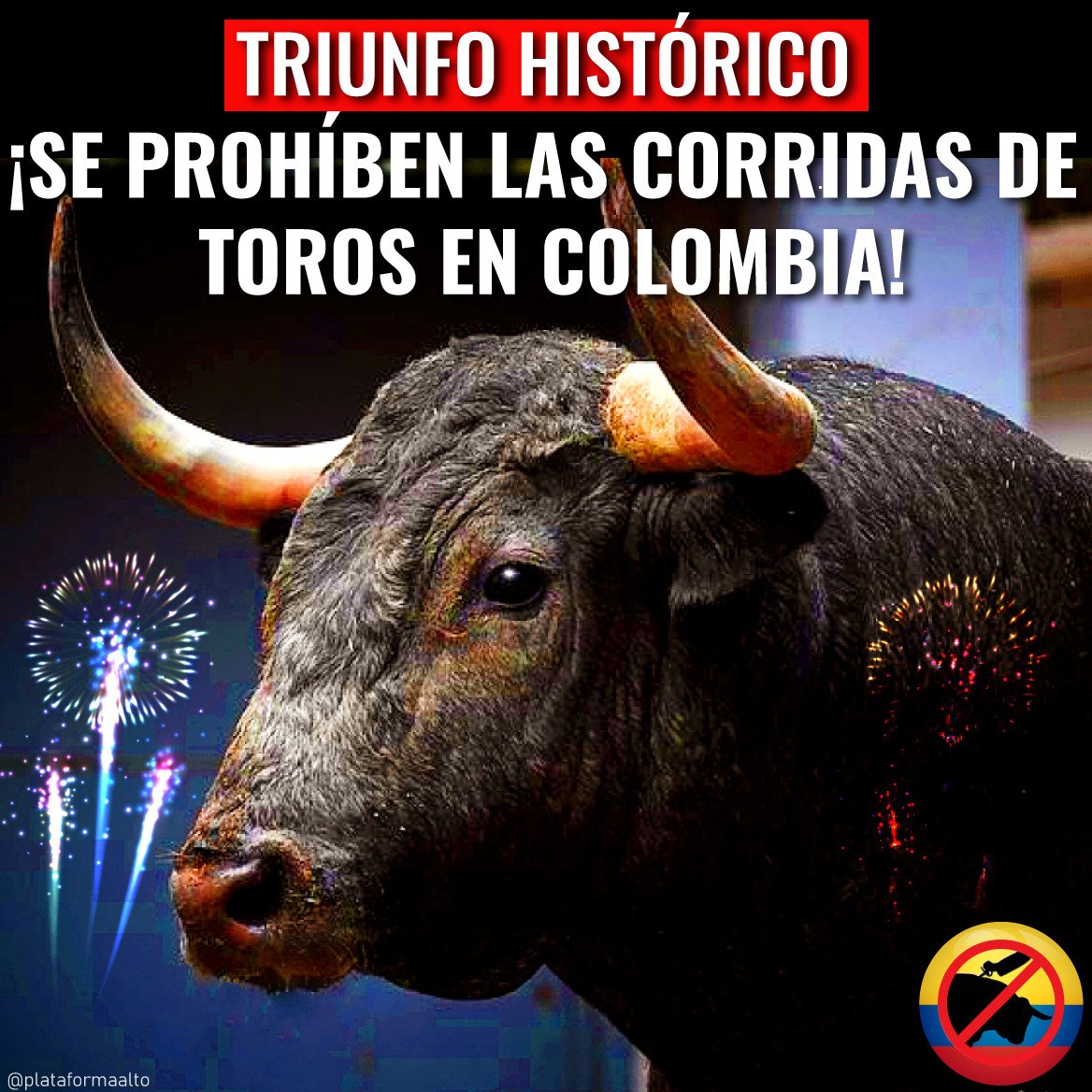 ¡TRIUNFO HISTÓRICO!  🐃
Han quedado prohibidas las corridas de toros en toda Colombia 🇨🇴❤️🥳🥳.  El proyecto de ley que les pone fin fue aprobado hace minutos en su último y definitivo debate en el Congreso.

¡Millones de gracias a quienes hicieron que este sueño fuera una