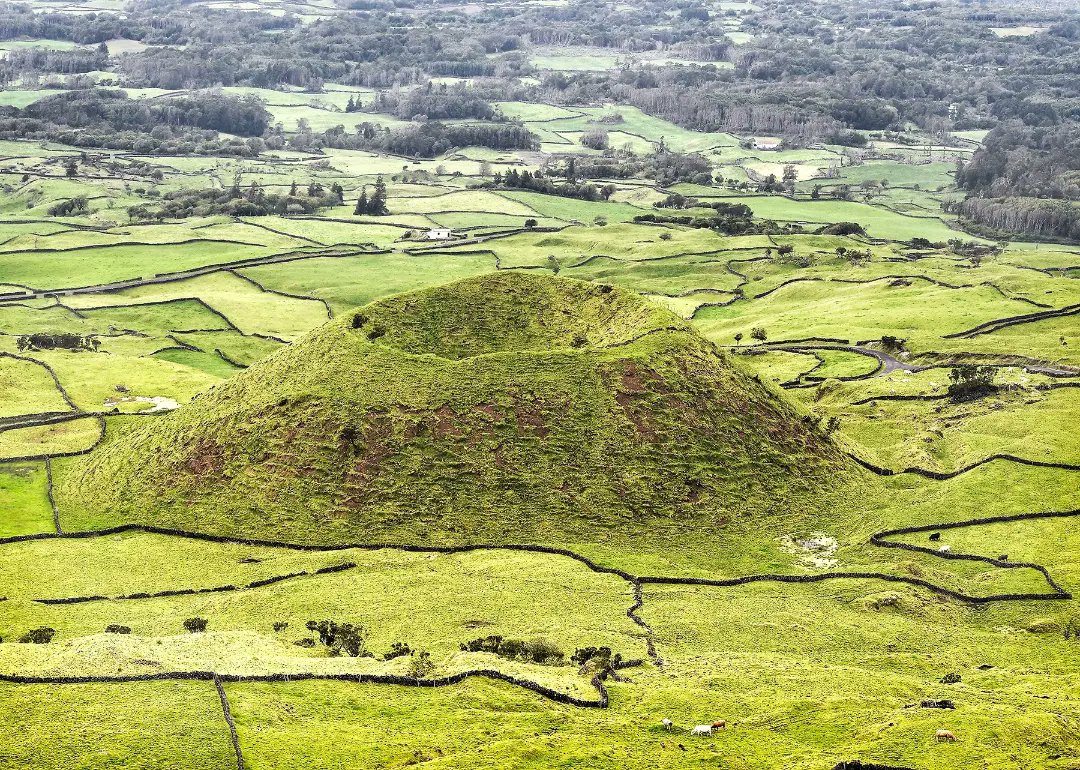 One of the many Craters of Sao Miguel.
... I was actually standing on a different crater when photographing this crater.
#saomiguel #azores #portugal #foggyday #craters #beautifulisland #cows #farmland #stonefences #travel