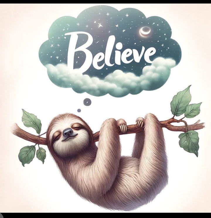 rayfarm_eth's tweet photo. Good night @SlothanaCoin
May the Lambo not be far from us
Don't forget to load up your bag. Tomorrow we may leave early to explore the moon
#SlothCommunity
#Slothteam
#meme https://t.co/x7bF5OPO9a