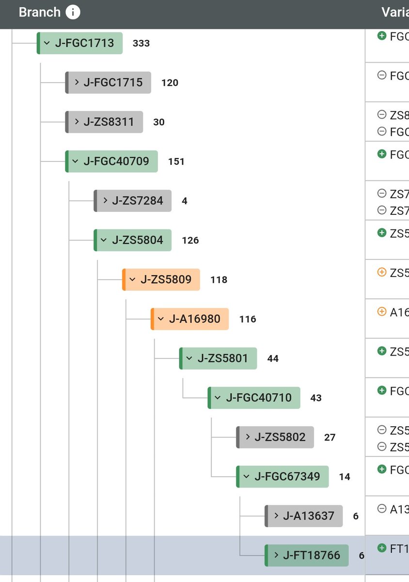 Hawazin_DNA's tweet photo. 📌 إعلان  
Big Y 700 - FTDNA :نتيجة
ID: IN135432 :رقم

لأبناء هلال بن نزال الثبيتي، من الحمران من الحبصان من #ذوي_ثبيت من روق من عتيبة من هوازن، إيجابية للخط ( FT18766 )

مسار الخط
FGC67349 → FGC40710
ZS5801 → A16980 → ZS5809
ZS5804 → FGC40709
 #FGC1713 https://t.co/Jgk9uotND8