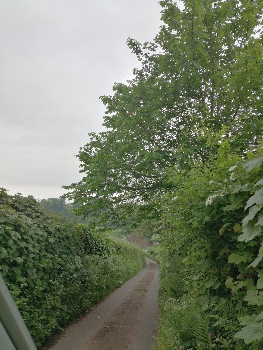 Greenvanman009's tweet photo. Bit of a tight squeeze down there.😁 #Cumbria #LakeDistrict #CountryLanes #TightFit https://t.co/qF43s1r965