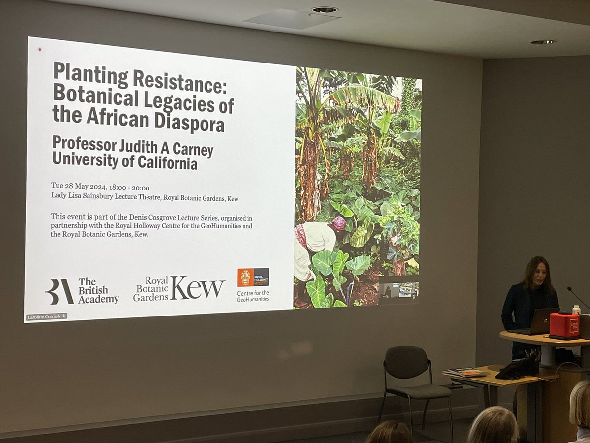 Superb Cosgrove lecture this evening by Prof Judith Carney from UCLA @KewScience @BritishAcademy_ @RoyalHolloway Centre for Geohumanities - about food, autonomy & freedom, using superb archival history & the concept of Bio-refugia to talk about participatory & just food futures.