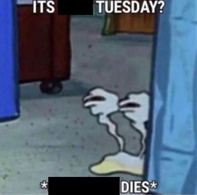 ˗ˋˏ*̣̩⋆̩ 𝚍𝚎𝚕𝚊𝚗𝚒𝚎 ⋆̩*̣̩ˎˊ˗ tweet media
