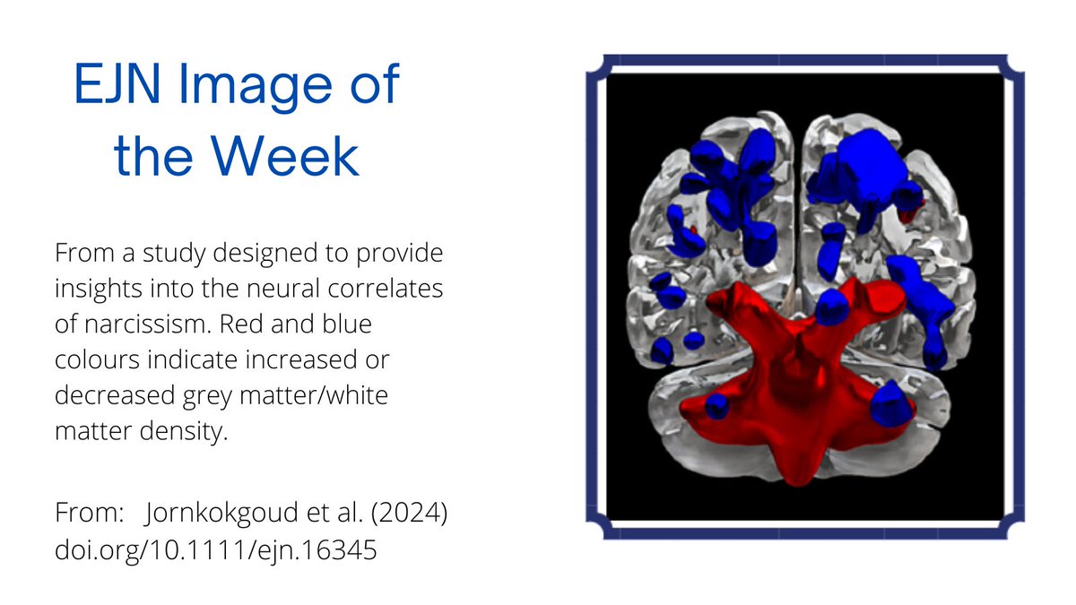 Check out the latest installment in our Image of the Week series! From: · DOI: 10.1111/ejn.16345 @FENSorg @WileyNeuro @UniTrentoDIPSCO